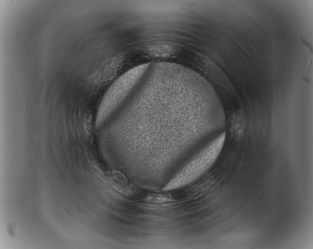 X0000101480559200807211401