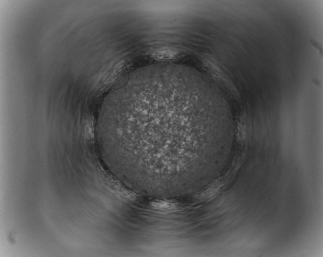 X0000101480561200807211402