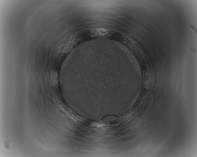 X0000101480563200807211402