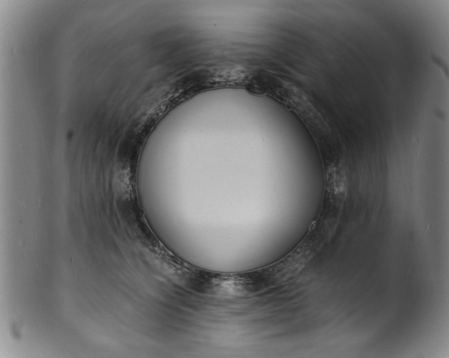 X0000101480564200807211402