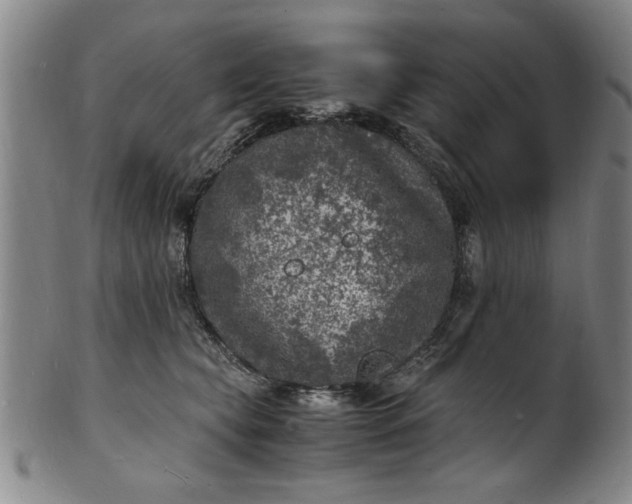 X0000101480565200807211402