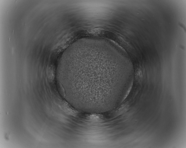 X0000101480566200807211402