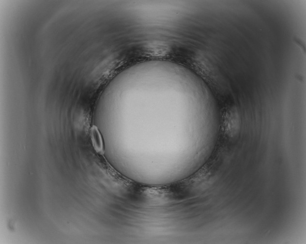 X0000101480568200807211402