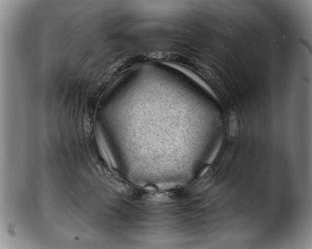 X0000101480569200807211402