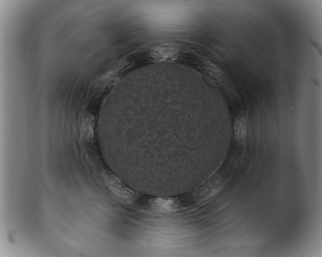 X0000101480570200807211402