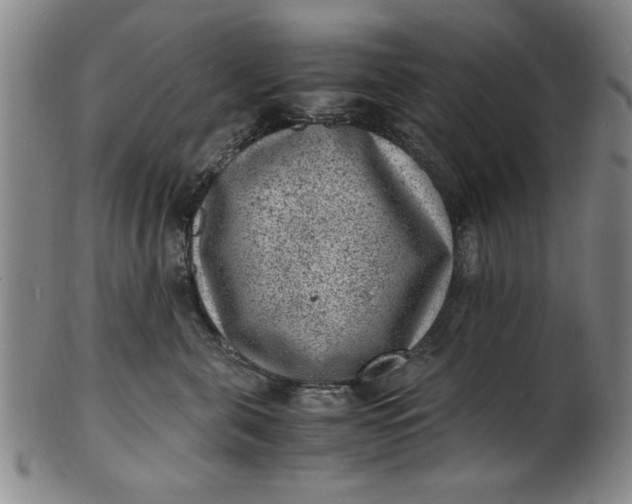 X0000101480571200807211402