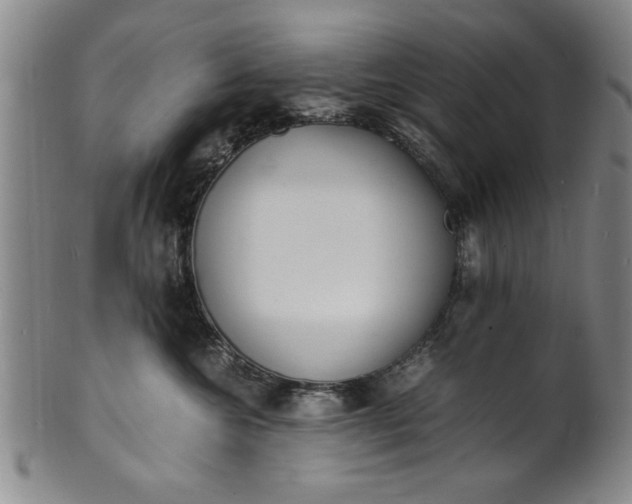 X0000101480572200807211402