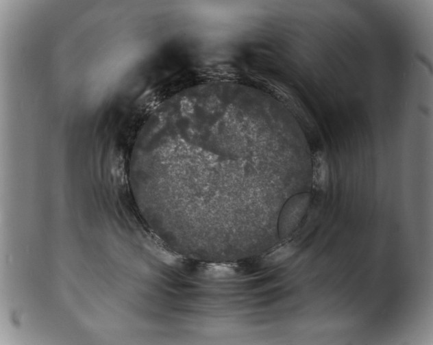 X0000101480573200807211402