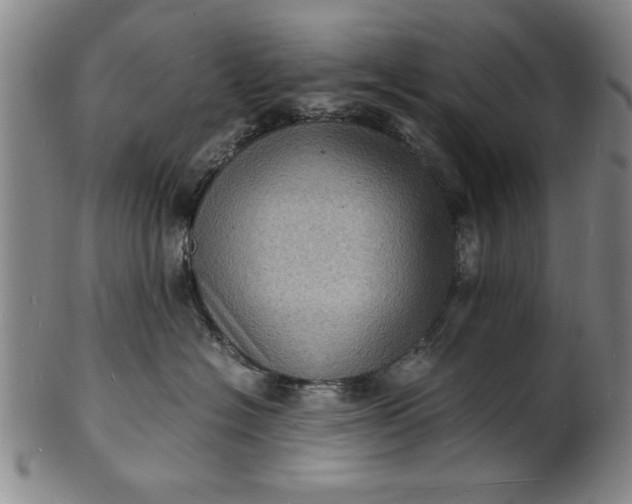 X0000101480574200807211402