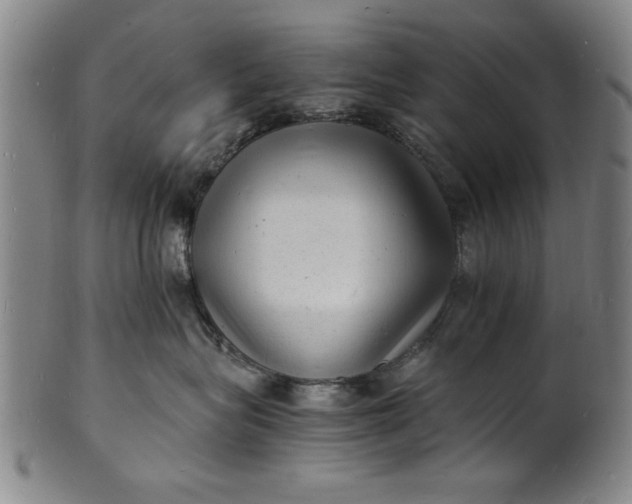 X0000101480575200807211402