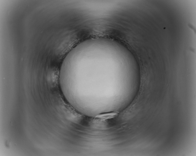 X0000101480576200807211402