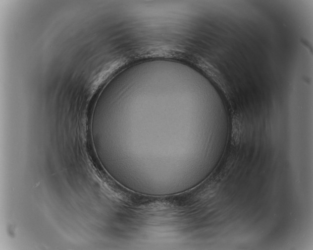 X0000101480578200807211401