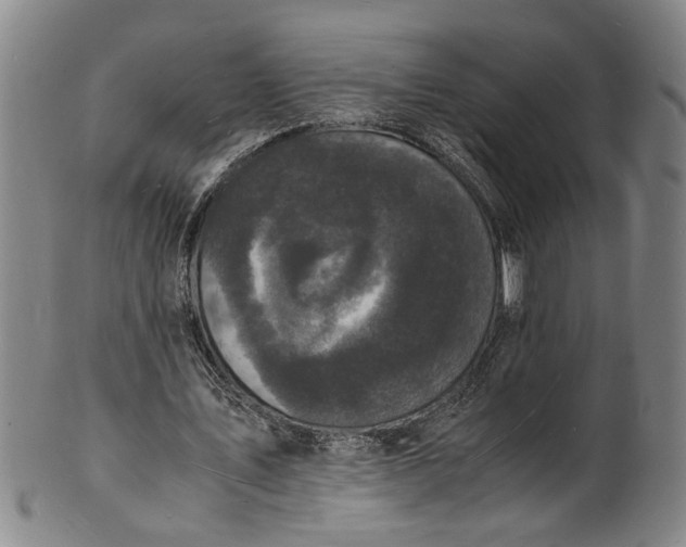 X0000101480579200807211401