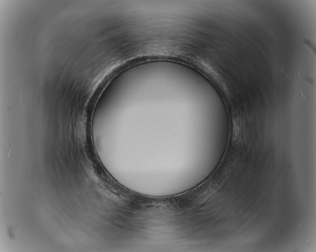 X0000101480580200807211401