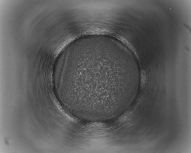 X0000101480581200807211401