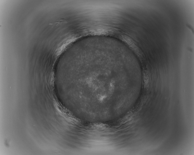 X0000101480583200807211401