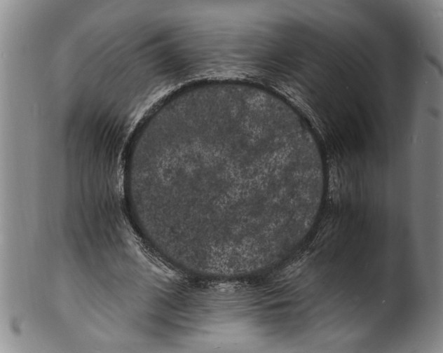 X0000101480584200807211401