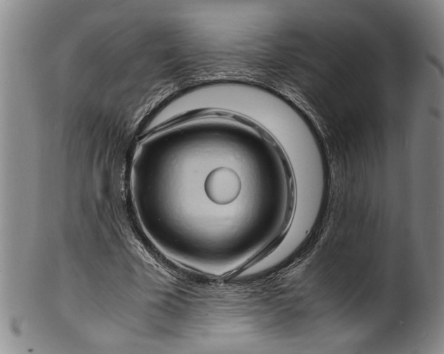 X0000101480585200807211401