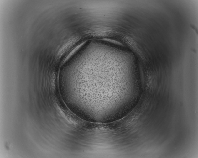 X0000101480586200807211401