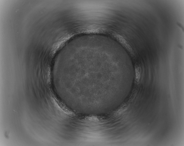 X0000101480588200807211401