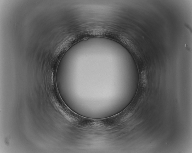 X0000101480589200807211401