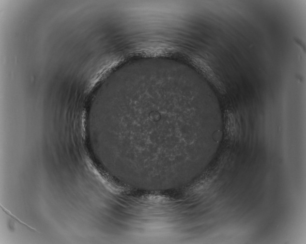 X0000101480590200807211401