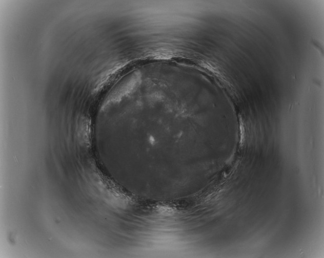 X0000101480592200807211401