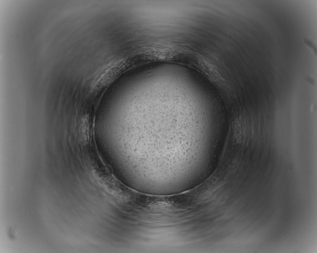 X0000101480594200807211401