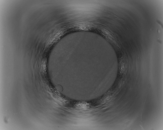 X0000101480595200807211401