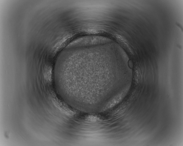 X0000101480596200807211401