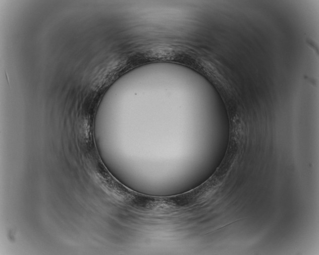 X0000101480597200807211401