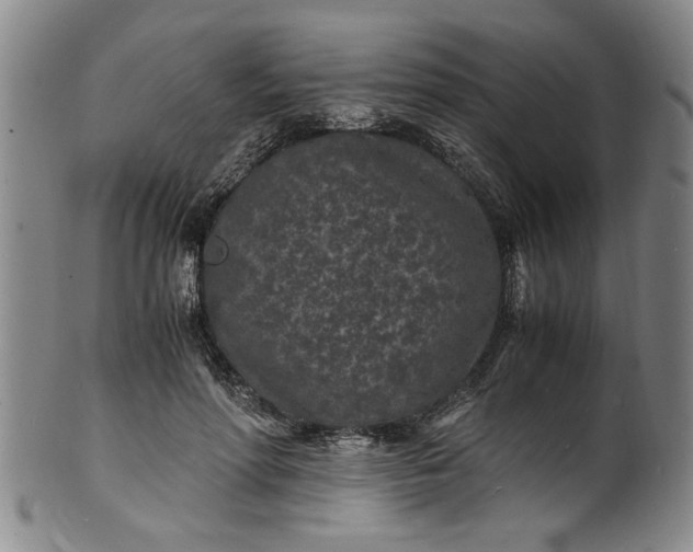 X0000101480598200807211401