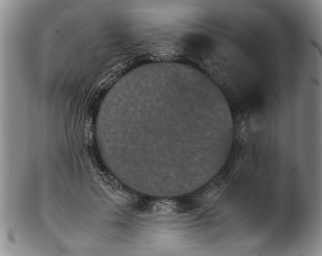 X0000101480599200807211401