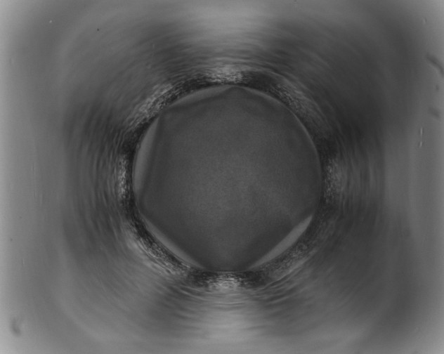 X0000101480600200807211401