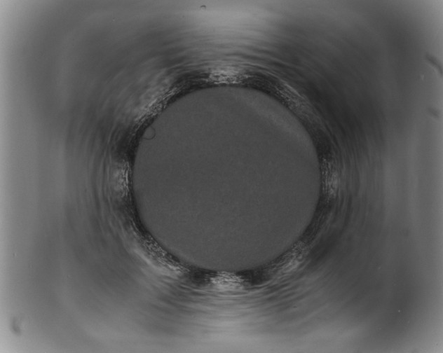 X0000101480603200807211401