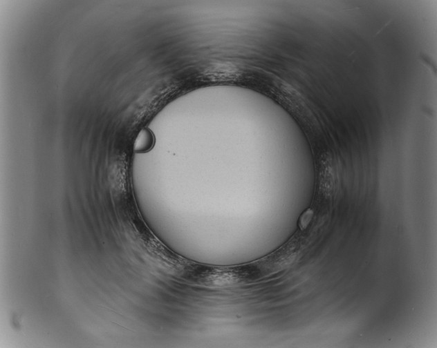 X0000101480604200807211401