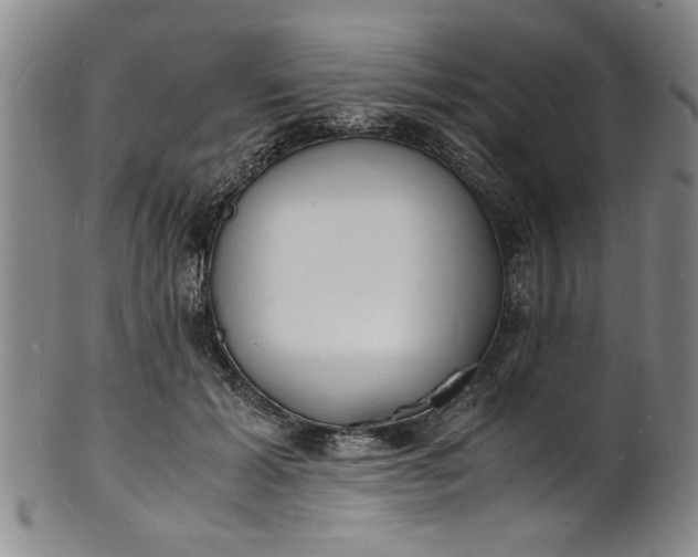 X0000101480605200807211401