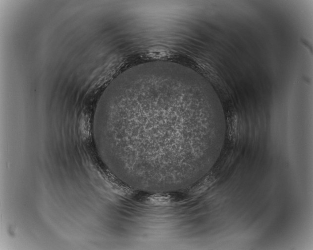 X0000101480606200807211401