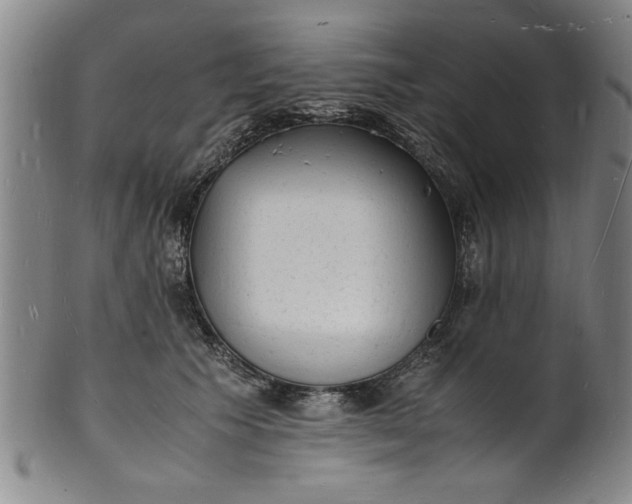 X0000101480609200807211400