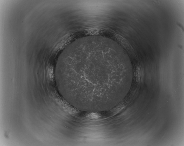 X0000101480610200807211400