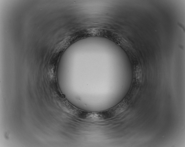 X0000101480611200807211400