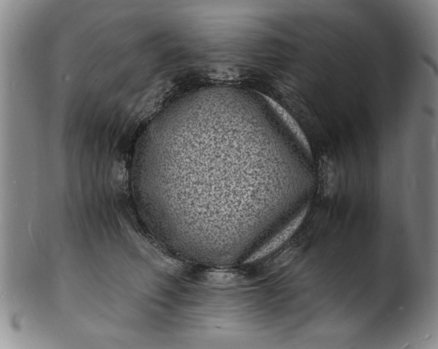 X0000101480614200807211400