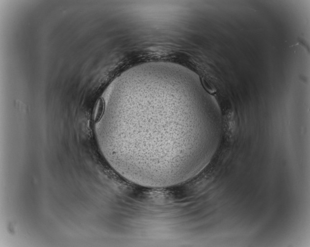 X0000101480615200807211400