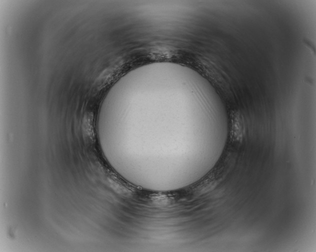 X0000101480616200807211400