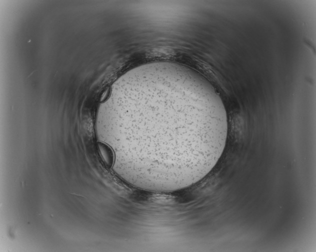 X0000101480617200807211400