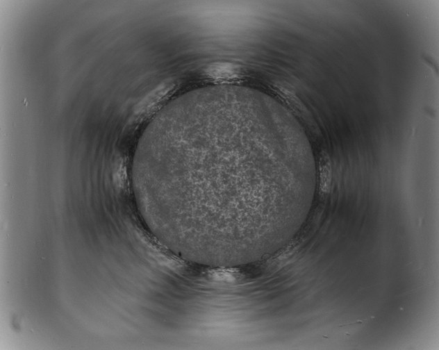 X0000101480618200807211400