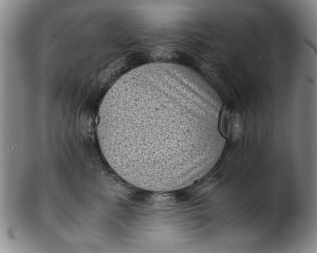 X0000101480619200807211400