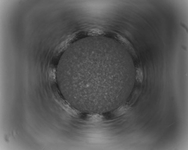 X0000101480621200807211400