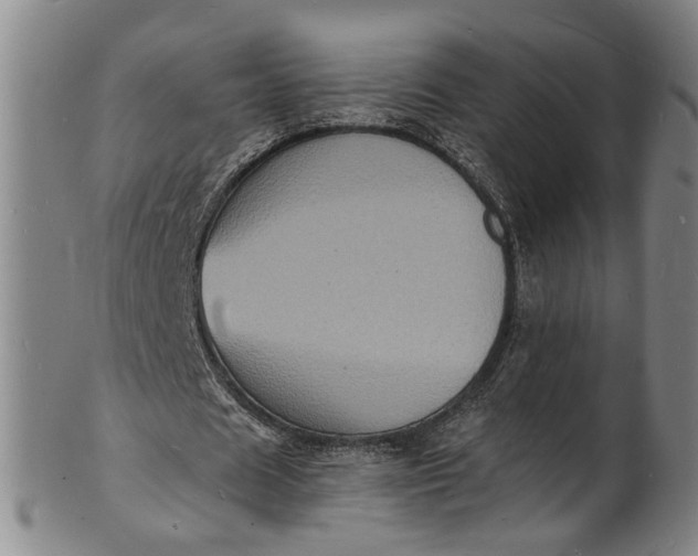 X0000101480625200807211359