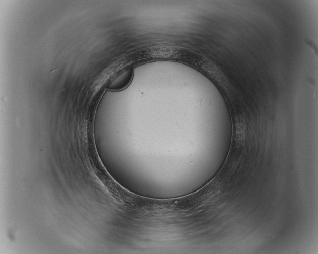 X0000101480626200807211359